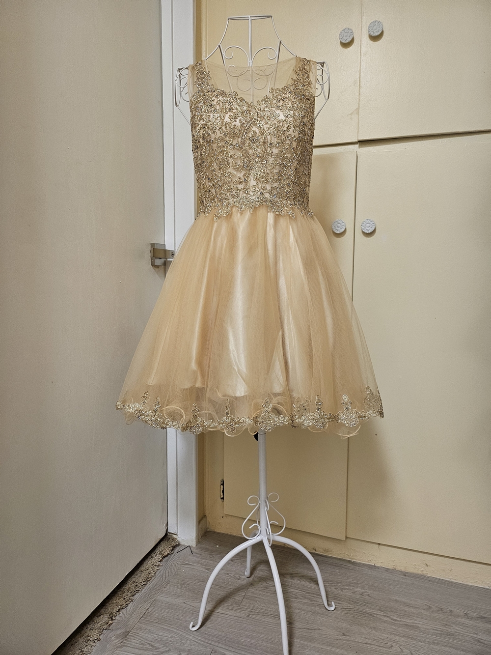 Gold Beaded V-Neck Tulle Mini Dress